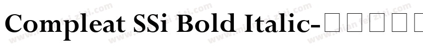 Compleat SSi Bold Italic字体转换